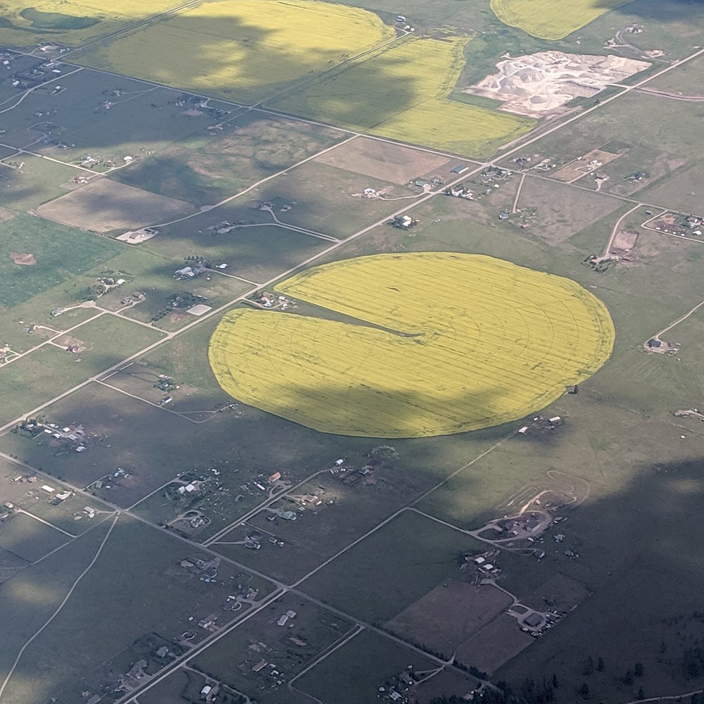 round, yellow canola field with a sliver that looks like a mouth