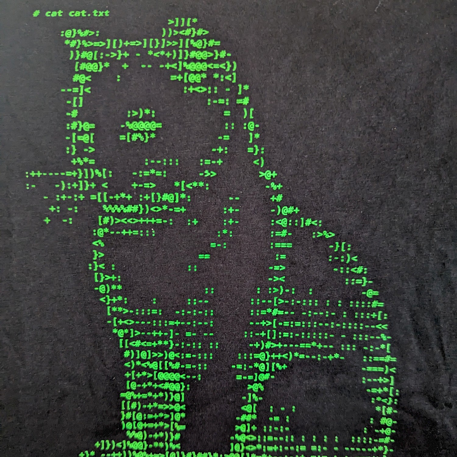 A black t-shirt with small, green ASCII characters similar to an old computer screen. Together the characters create a picture of a cat. Text above it reads